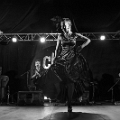 flamenco (116)